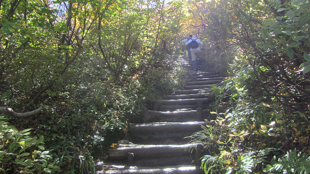 【日本賞楓】楓葉染紅山頭的栗駒山_img_11