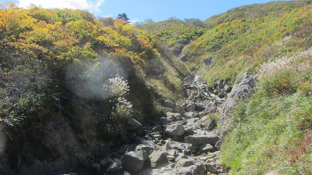 【日本賞楓】楓葉染紅山頭的栗駒山_img_13