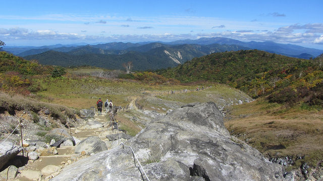 【日本賞楓】楓葉染紅山頭的栗駒山_img_15