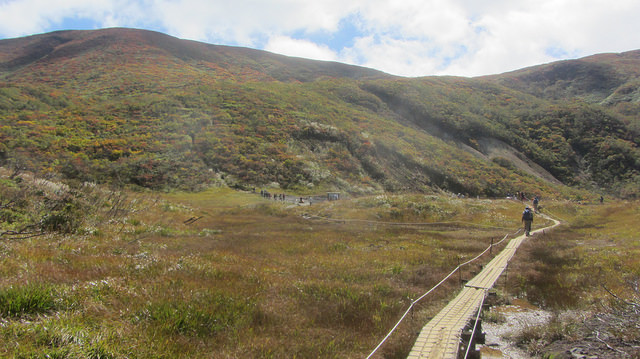 【日本賞楓】楓葉染紅山頭的栗駒山_img_17