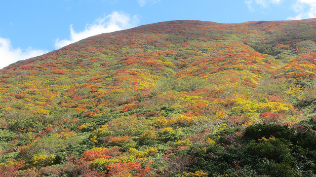 【日本賞楓】楓葉染紅山頭的栗駒山_img_21