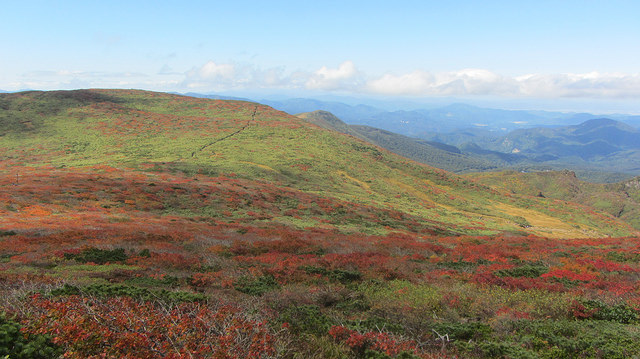 【日本賞楓】楓葉染紅山頭的栗駒山_img_30