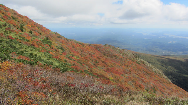 【日本賞楓】楓葉染紅山頭的栗駒山_img_32