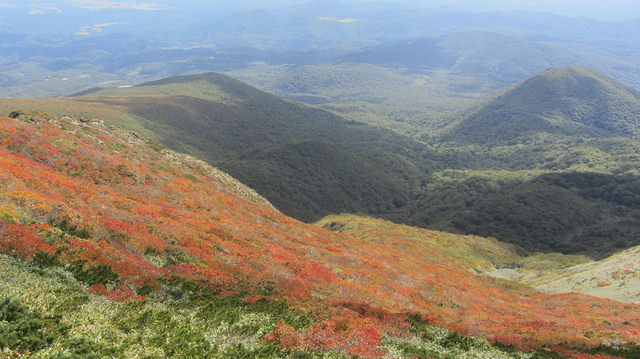 【日本賞楓】楓葉染紅山頭的栗駒山_img_33