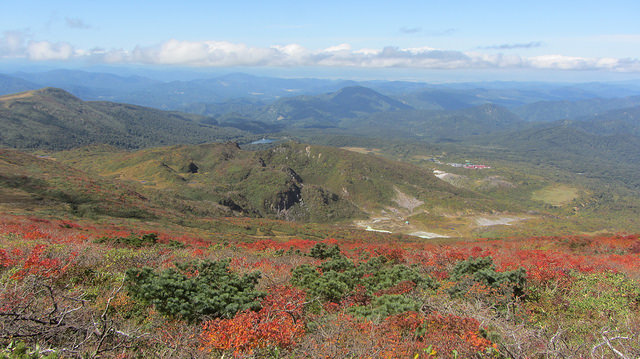 【日本賞楓】楓葉染紅山頭的栗駒山_img_35