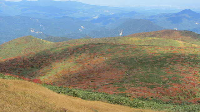 【日本賞楓】楓葉染紅山頭的栗駒山_img_41