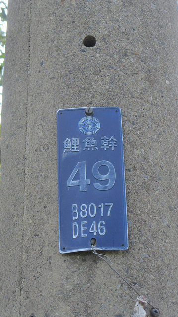 【台灣36秘境】石碇之塗潭千島湖_img_6