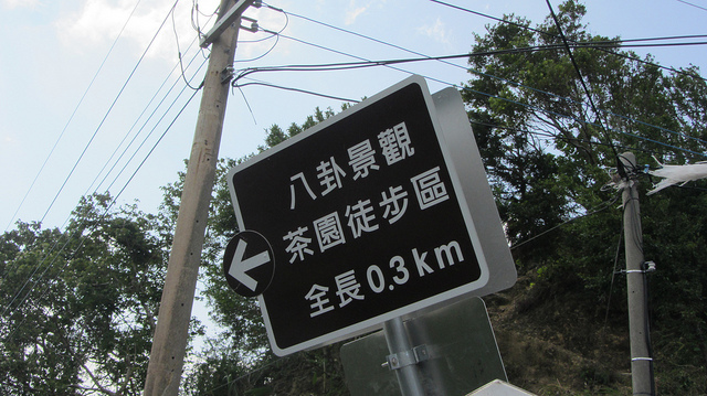 【台灣36秘境】石碇之塗潭千島湖_img_16