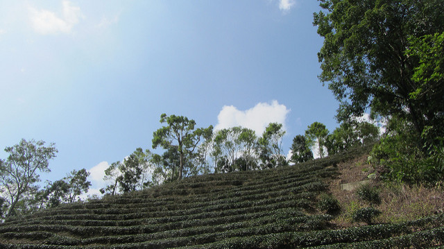 【台灣36秘境】石碇之塗潭千島湖_img_19