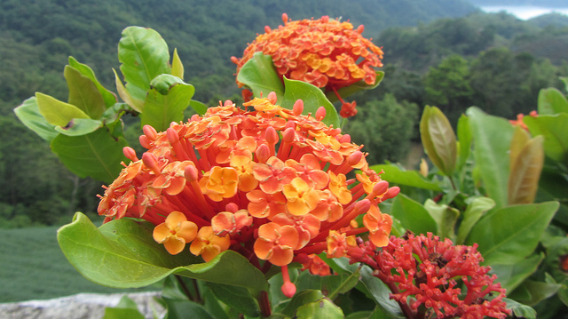 【台灣36秘境】石碇之塗潭千島湖_img_22