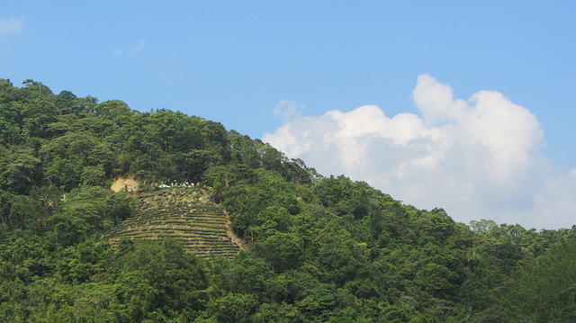 【台灣36秘境】石碇之塗潭千島湖_img_29