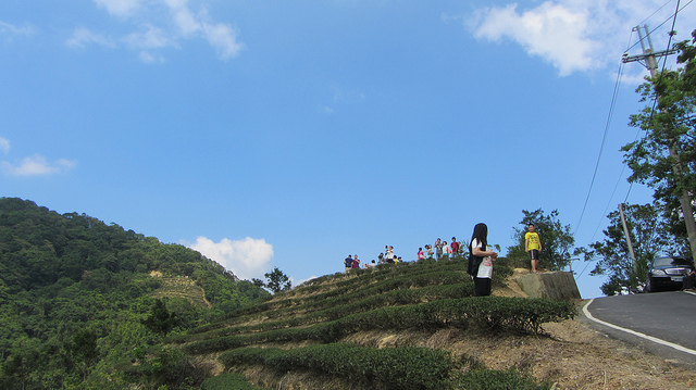 【台灣36秘境】石碇之塗潭千島湖_img_30