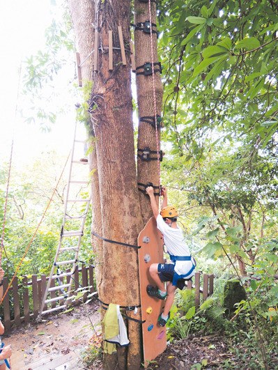 都會小校化身公立森小 拚獨特大受歡迎 _img_2