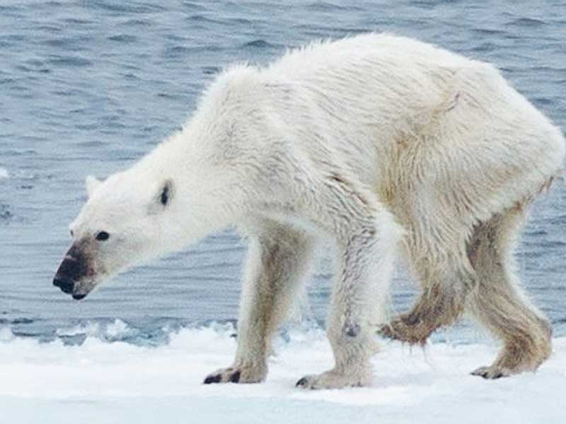台灣人均碳排放 高過日本、大陸_img_1