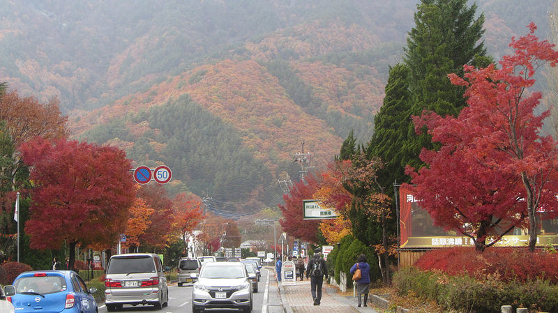 富士河口湖紅葉迴廊 美景如詩如畫_img_4