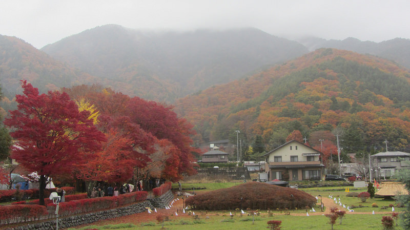富士河口湖紅葉迴廊 美景如詩如畫_img_6