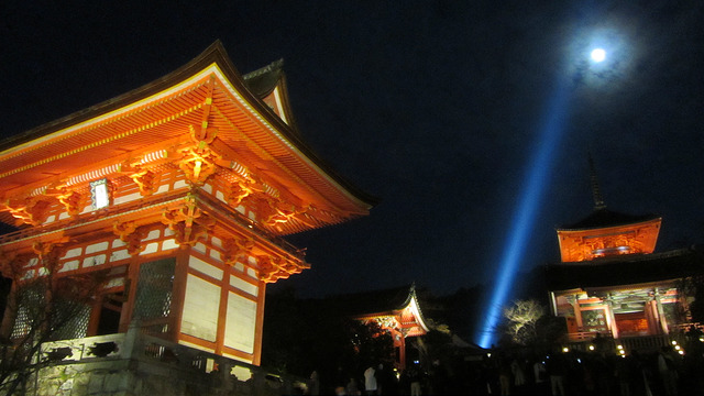 京都 清水寺 秋楓夜的特別拜觀_img_1