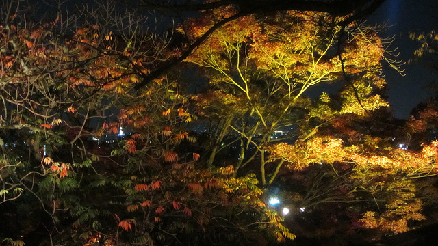 京都 清水寺 秋楓夜的特別拜觀_img_4