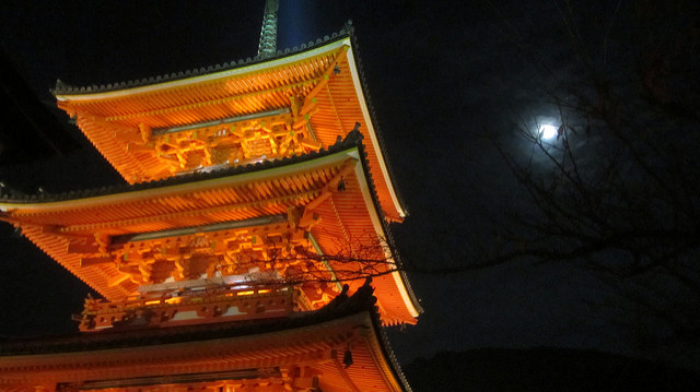 京都 清水寺 秋楓夜的特別拜觀_img_8