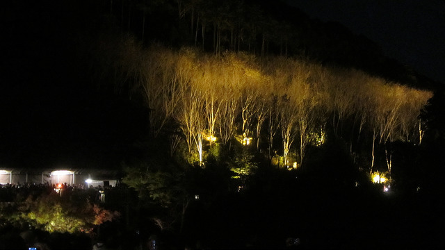 京都 清水寺 秋楓夜的特別拜觀_img_10