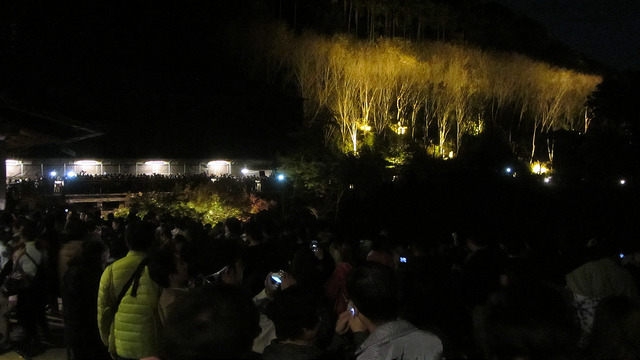 京都 清水寺 秋楓夜的特別拜觀_img_11