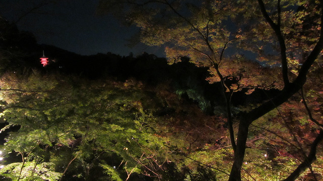 京都 清水寺 秋楓夜的特別拜觀_img_15