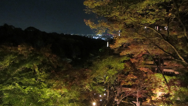 京都 清水寺 秋楓夜的特別拜觀_img_16