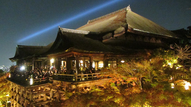 京都 清水寺 秋楓夜的特別拜觀_img_17
