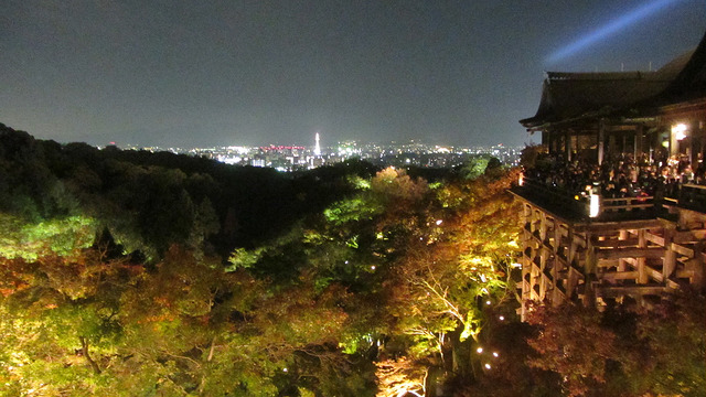 京都 清水寺 秋楓夜的特別拜觀_img_19
