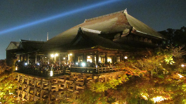 京都 清水寺 秋楓夜的特別拜觀_img_21