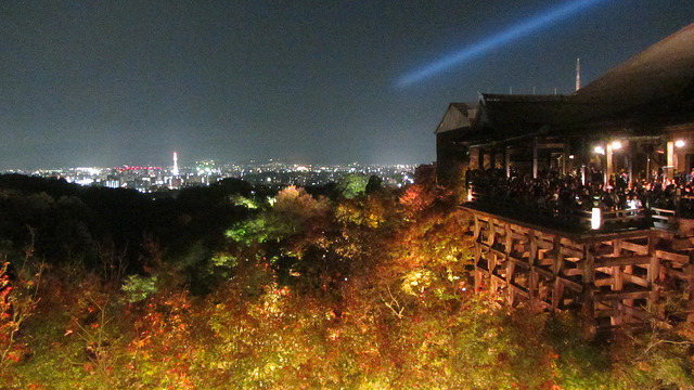 京都 清水寺 秋楓夜的特別拜觀_img_22