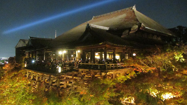 京都 清水寺 秋楓夜的特別拜觀_img_23