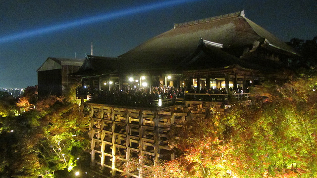 京都 清水寺 秋楓夜的特別拜觀_img_24