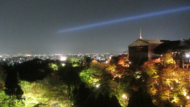 京都 清水寺 秋楓夜的特別拜觀_img_28
