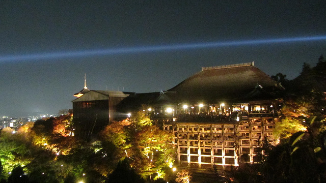 京都 清水寺 秋楓夜的特別拜觀_img_29