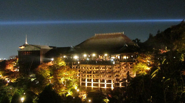 京都 清水寺 秋楓夜的特別拜觀_img_30