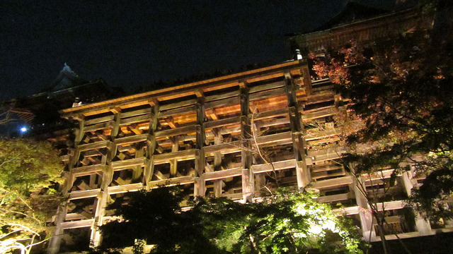 京都 清水寺 秋楓夜的特別拜觀_img_31