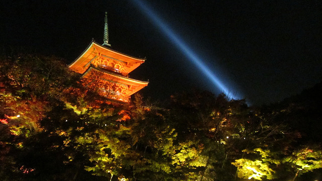 京都 清水寺 秋楓夜的特別拜觀_img_36