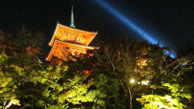京都 清水寺 秋楓夜的特別拜觀_img_38