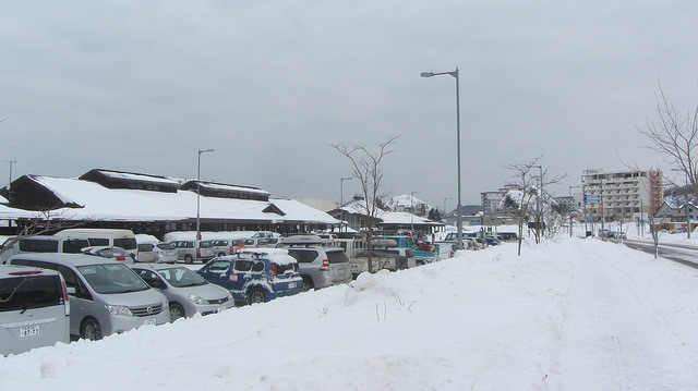 北海道知床斜里流冰漫步_img_9