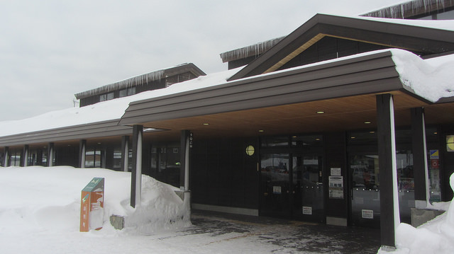 北海道知床斜里流冰漫步_img_10