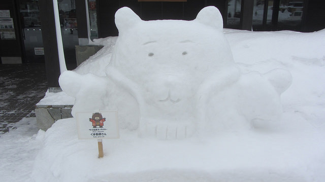 北海道知床斜里流冰漫步_img_11