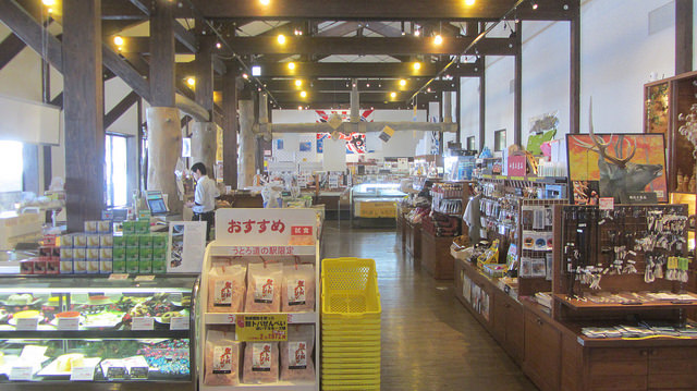 北海道知床斜里流冰漫步_img_12