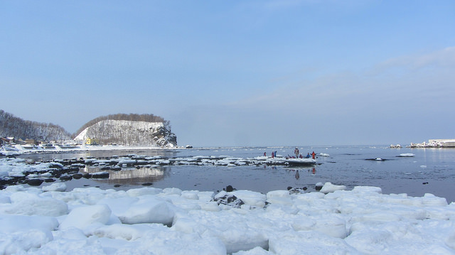 北海道知床斜里流冰漫步_img_17