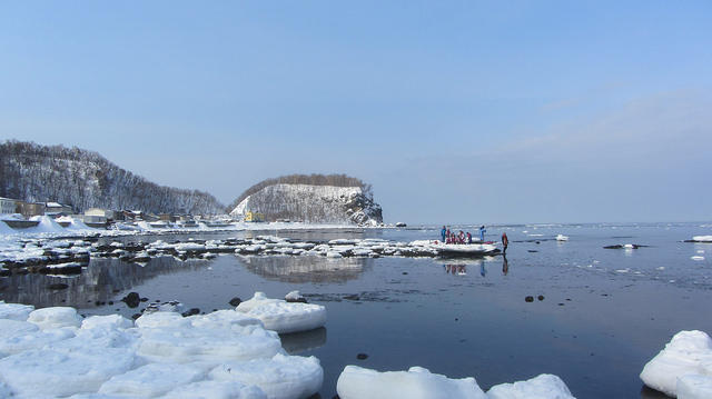 北海道知床斜里流冰漫步_img_18