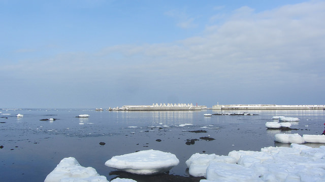 北海道知床斜里流冰漫步_img_19