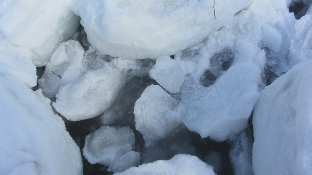北海道知床斜里流冰漫步_img_20