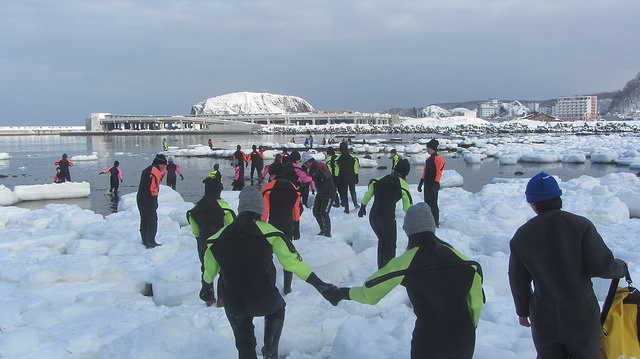 北海道知床斜里流冰漫步_img_21