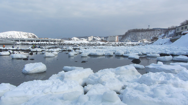 北海道知床斜里流冰漫步_img_22