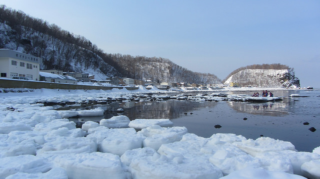 北海道知床斜里流冰漫步_img_24